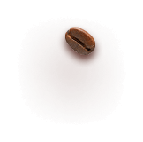 Bean