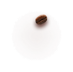 Bean