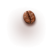 Bean