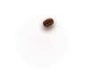 Bean