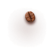 Bean